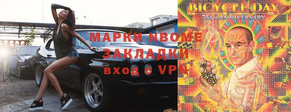 индика Костерёво