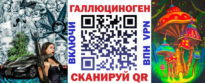 как найти наркотики Белокуриха площадка клад Псилоцибиновые грибы мицелий